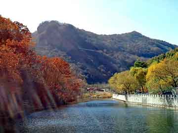 正新澳门二四六天天彩，景洪seo论坛